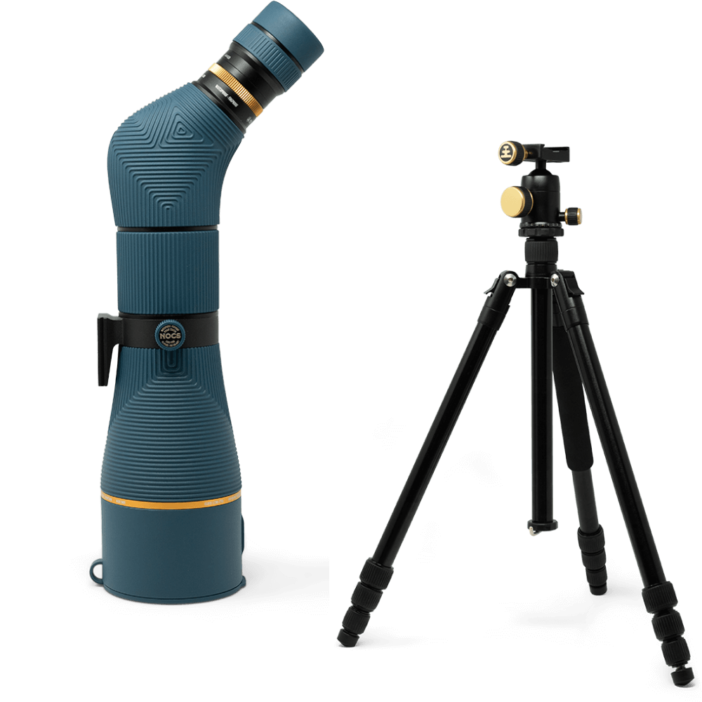 Featured product image for Long View Bundle