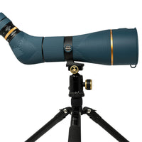 Long View Bundle